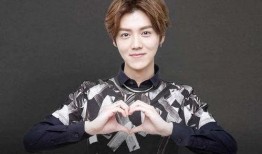 爆料鹿晗婚房视频,奢华装修引网友热议